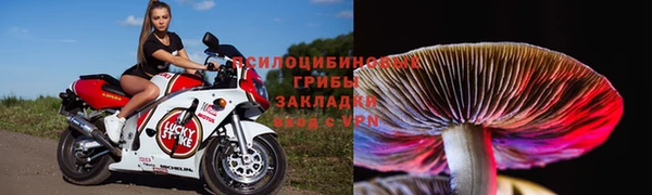 ГАЛЛЮЦИНОГЕННЫЕ ГРИБЫ Алексеевка