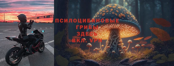 ГАЛЛЮЦИНОГЕННЫЕ ГРИБЫ Алексеевка