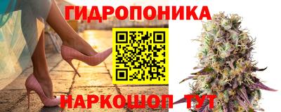 бошки Пыть-Ях
