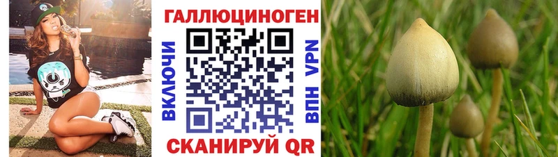 Галлюциногенные грибы мицелий  хочу   Советский 