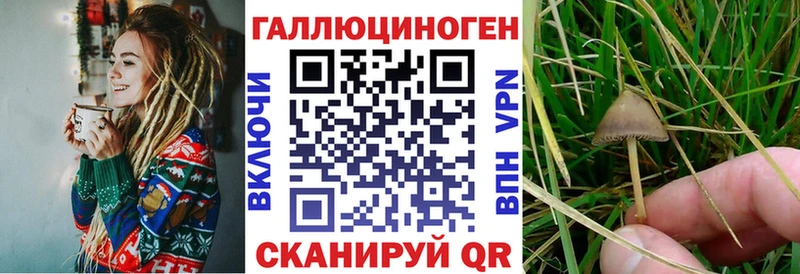 Псилоцибиновые грибы мухоморы Советский