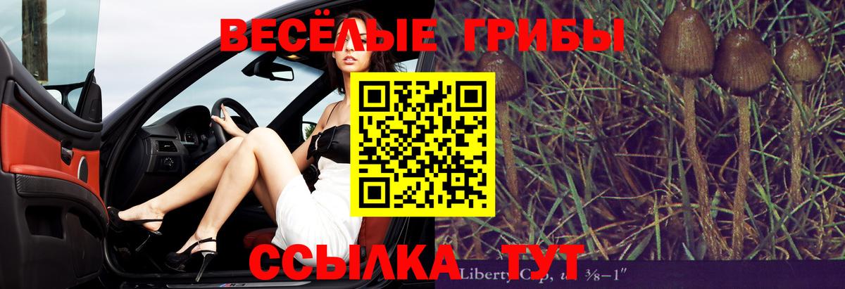Галлюциногенные грибы мухоморы  Вход с VPN  Советский 